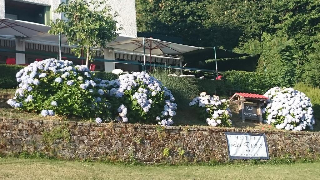 Hotel Los Duques Bejar Bagian luar foto